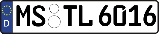 MS-TL6016