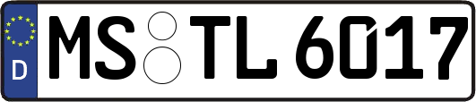MS-TL6017