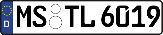 MS-TL6019