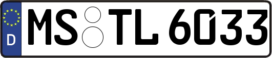 MS-TL6033