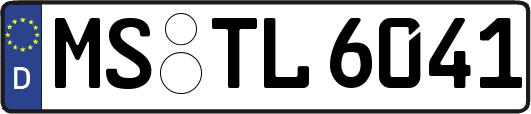 MS-TL6041