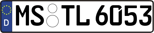 MS-TL6053