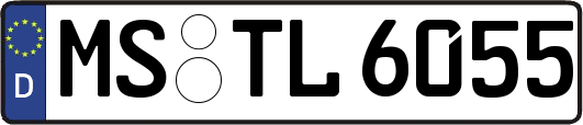 MS-TL6055