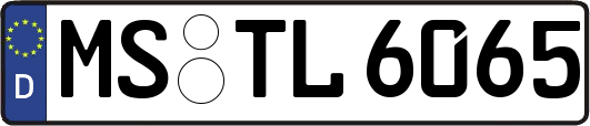 MS-TL6065