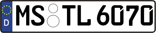 MS-TL6070