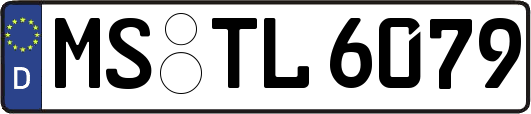 MS-TL6079