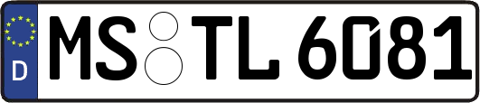 MS-TL6081
