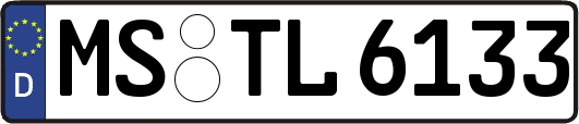 MS-TL6133
