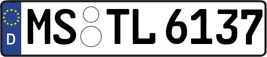 MS-TL6137