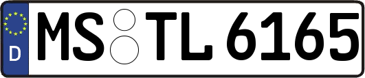 MS-TL6165