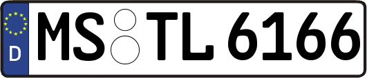 MS-TL6166