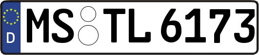 MS-TL6173