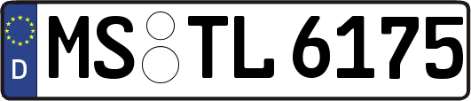 MS-TL6175