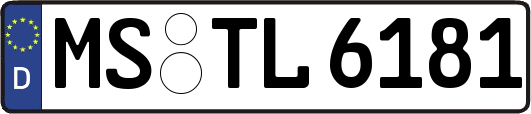 MS-TL6181