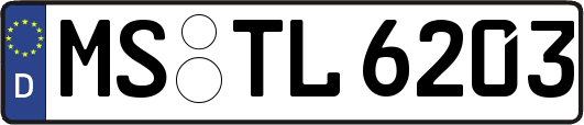MS-TL6203