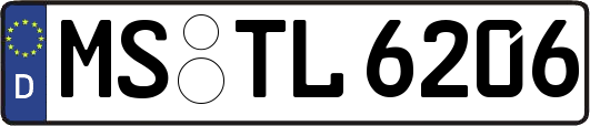 MS-TL6206