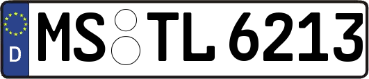 MS-TL6213