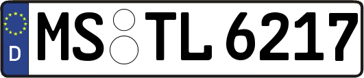MS-TL6217