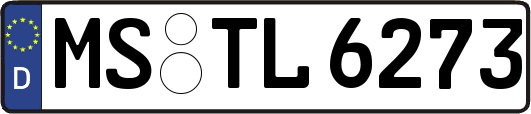MS-TL6273