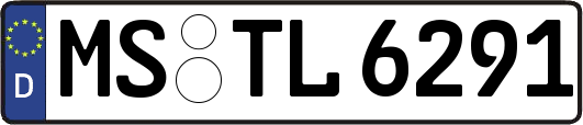 MS-TL6291