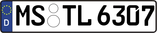 MS-TL6307