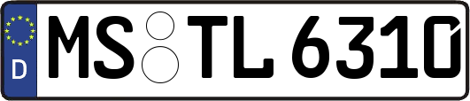 MS-TL6310