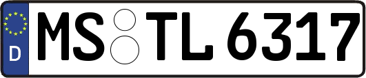 MS-TL6317