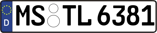 MS-TL6381