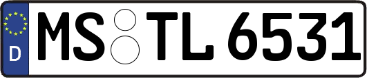 MS-TL6531