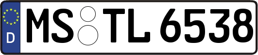 MS-TL6538