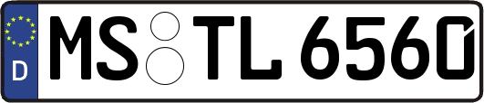 MS-TL6560