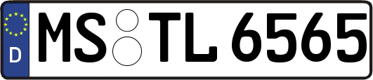MS-TL6565