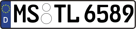 MS-TL6589