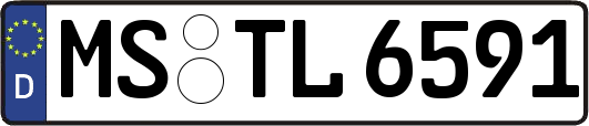 MS-TL6591