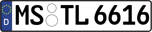 MS-TL6616