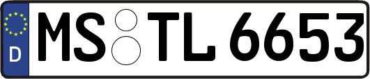 MS-TL6653