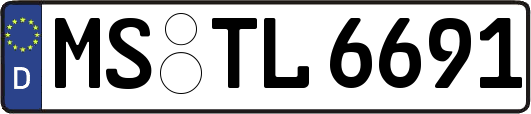 MS-TL6691