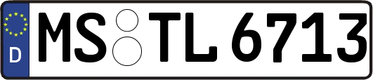 MS-TL6713