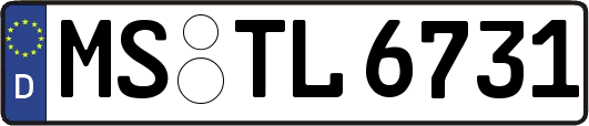 MS-TL6731