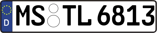 MS-TL6813