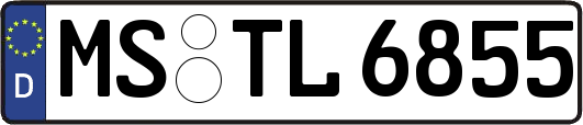 MS-TL6855
