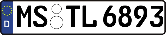 MS-TL6893