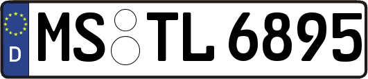MS-TL6895