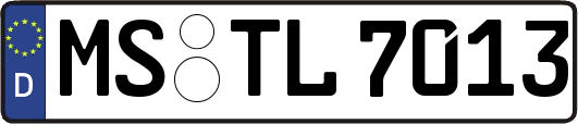MS-TL7013