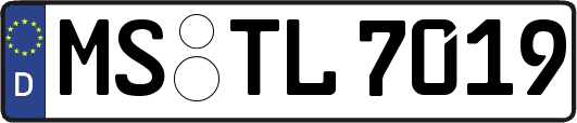 MS-TL7019