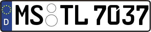 MS-TL7037