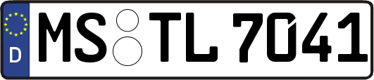 MS-TL7041