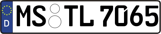 MS-TL7065