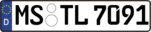 MS-TL7091