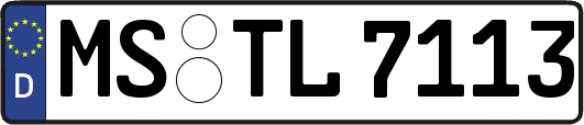 MS-TL7113